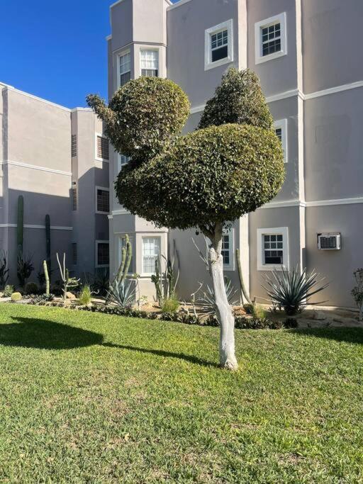 Departamento En 1Er Piso 2 Bdr 2Bath Tezal Leilighet Cabo San Lucas Eksteriør bilde